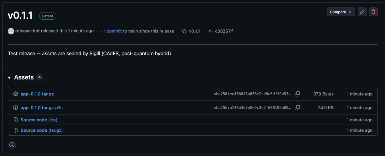 A GitHub release with app-0.1.0.tar.gz and its seal app-0.1.0.tar.gz.p7s
